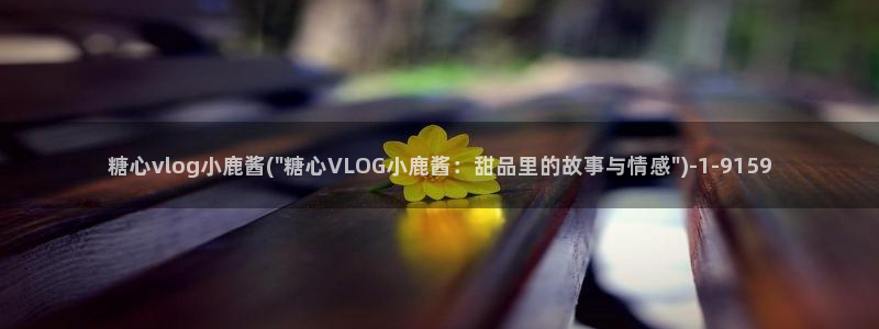 糖心vlog会计：糖心vlog小鹿酱(\