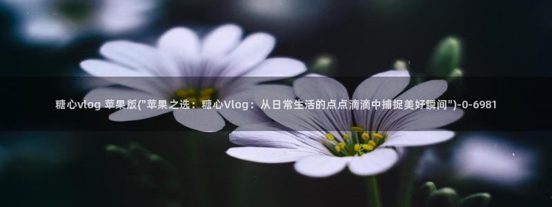 糖心vlog生物女：糖心vlog 苹果版(\