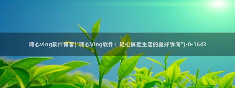 糖心vlog旅行女主角：糖心vlog软件博客(\