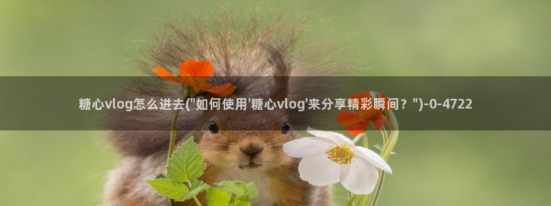 糖心vlog分享：糖心vlog怎么进去(\